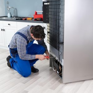 Noor Al Zain Refrigerator & Fridge Repair Services​ in Dubai